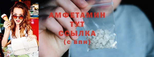 шишки Горно-Алтайск