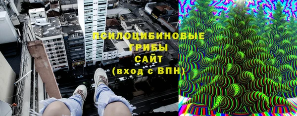 мдма Гусев