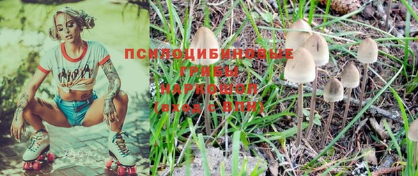 шишки Горно-Алтайск