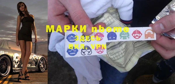 шишки Горно-Алтайск