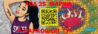 стафф Кандалакша