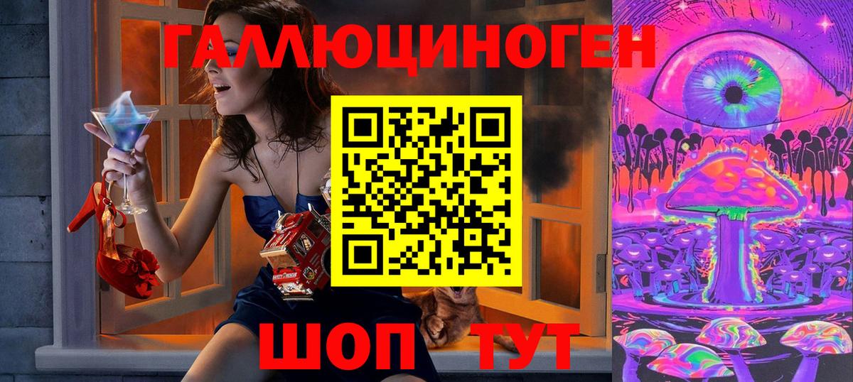 Галлюциногенные грибы Psilocybe Похвистнево